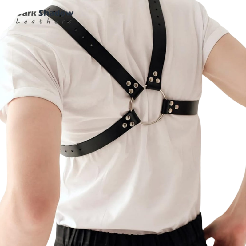 4 Piece Adjustable Harness, Set Includes Leather Harness, Arm Bands And Collar
